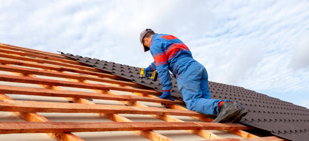 Best Asphalt Shingles Roofing  in Cannelton, IN